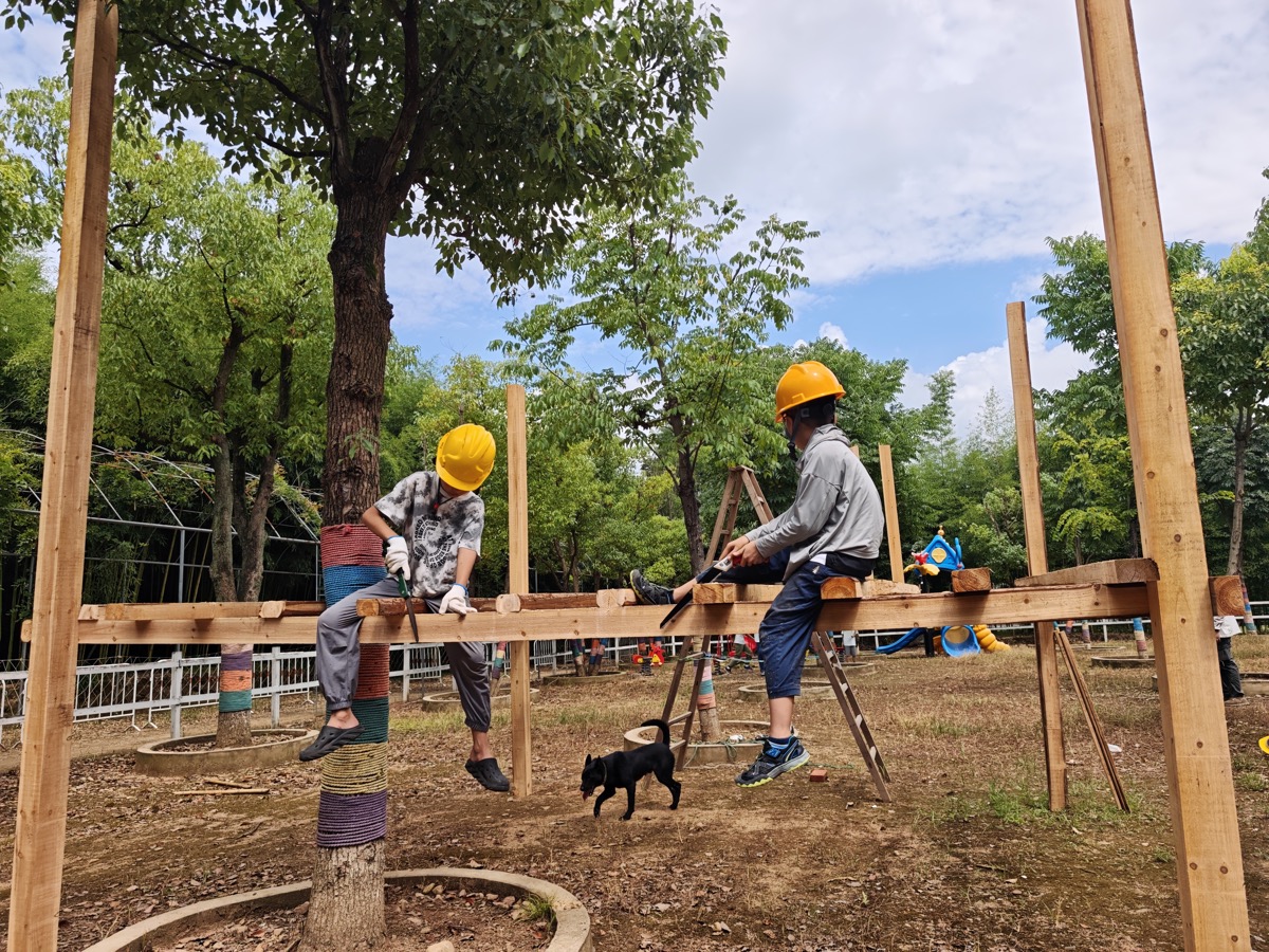 树屋建造过程