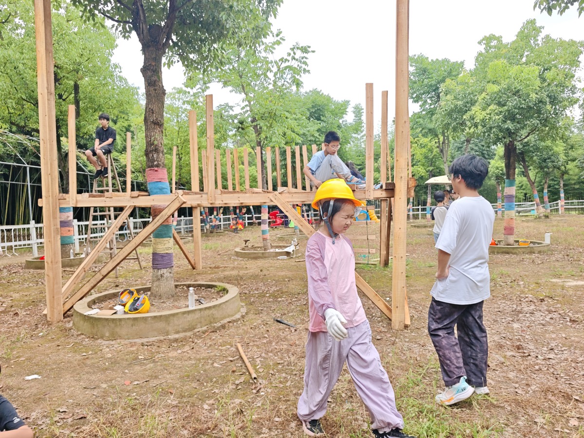 树屋建造过程