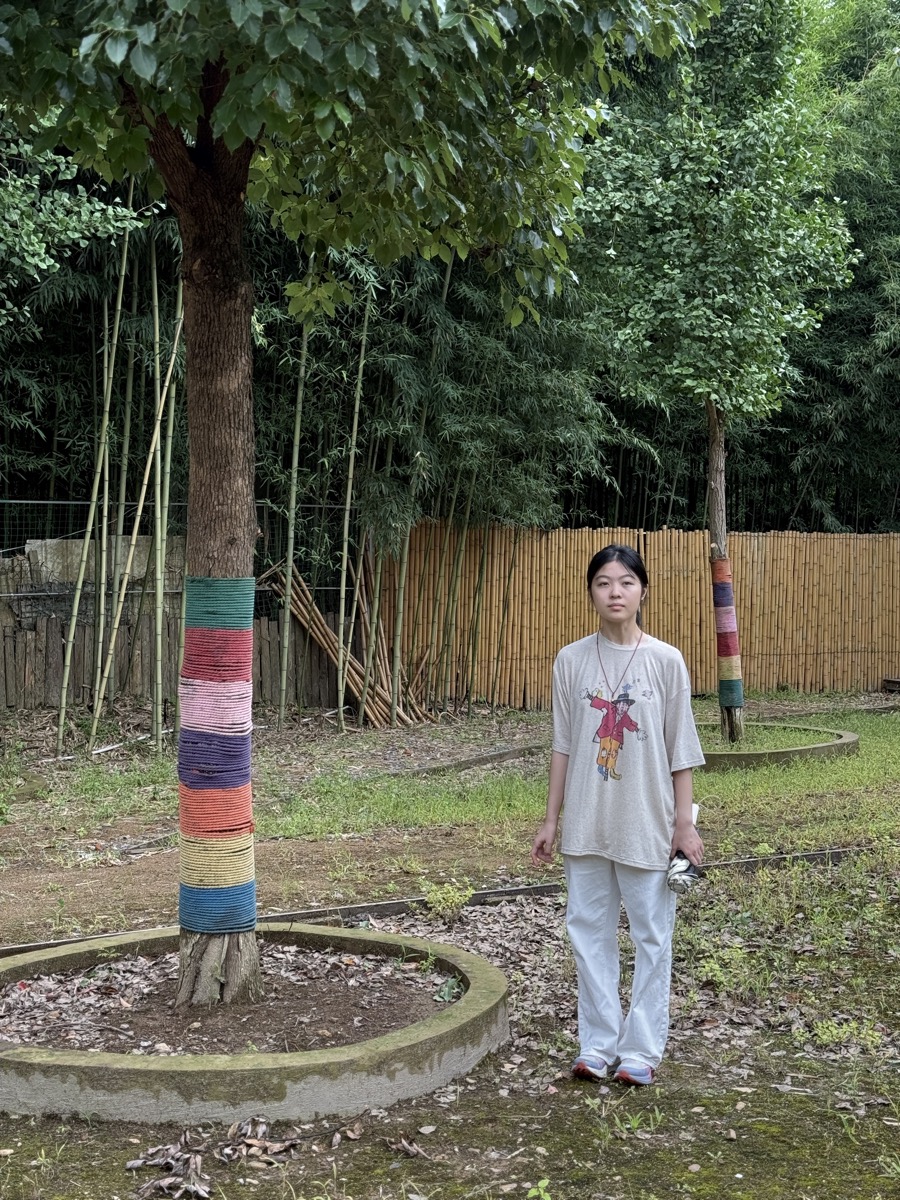 树屋建造过程